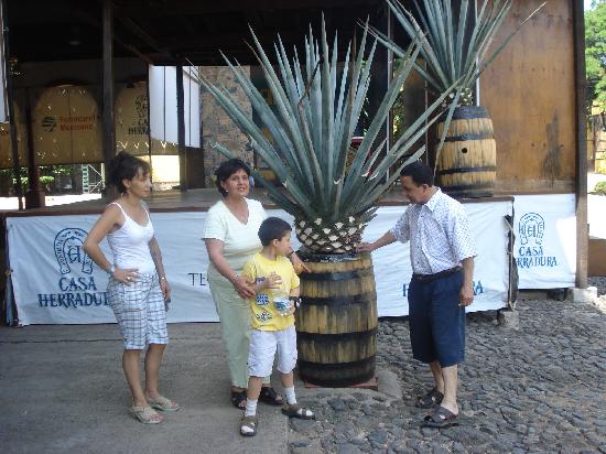 Casa herradura Tequila en Amatitan jalisco Mexico