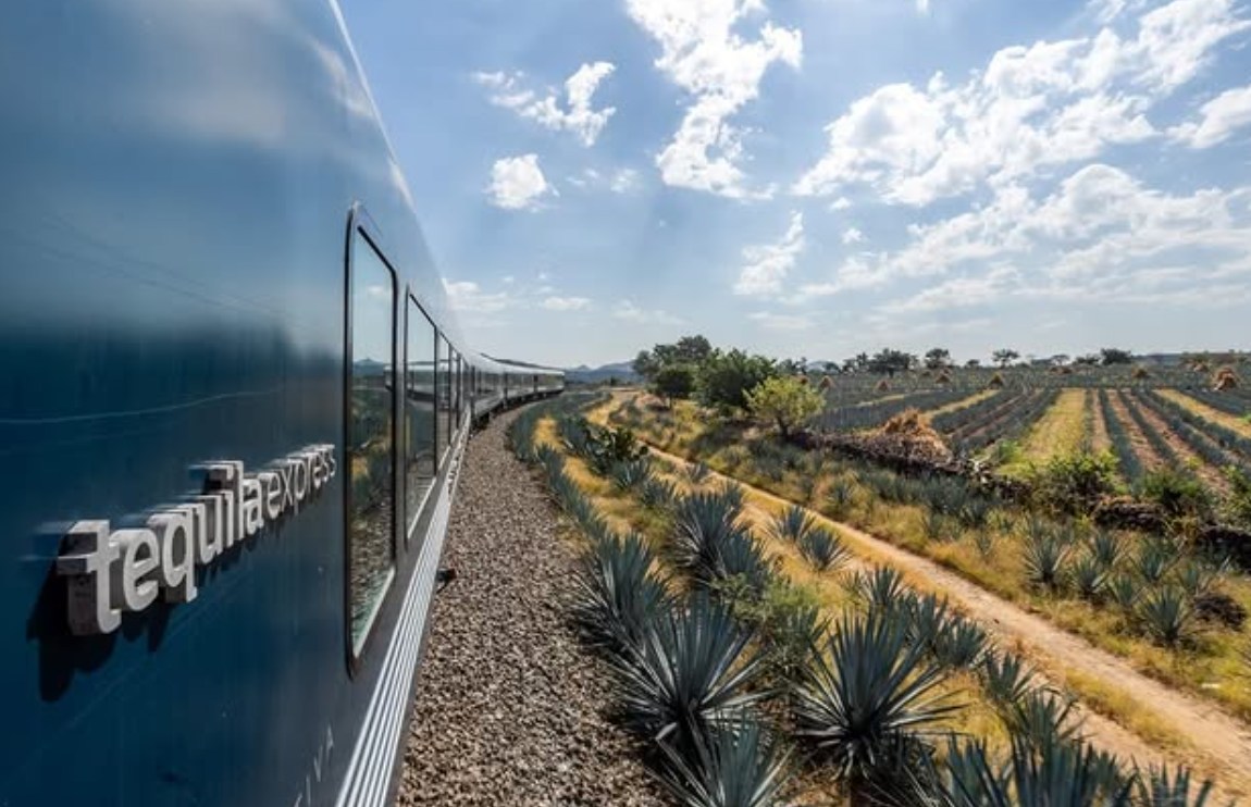 Tren Tequila vivelo desde Guadalajara